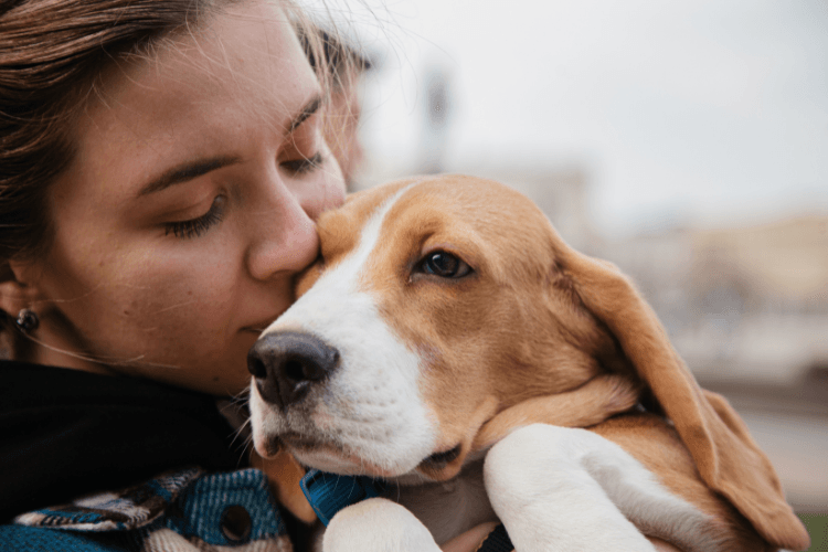 Pets e Planejamento Sucessório – Como Garantir a Proteção dos Animais de Estimação em Caso de Falecimento